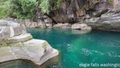 eagle falls washington